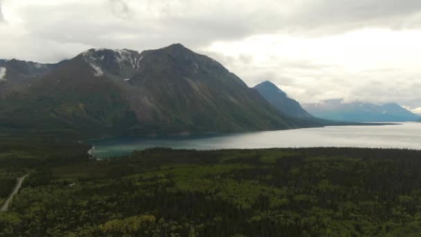 Vue sur le lac panoramique entouré de forêts et de montagnes — Video