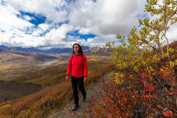 Chica senderismo en la naturaleza canadiense —  Fotos de Stock