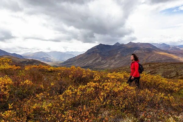 캐나다의 자연계에서 쇼핑하는 소녀 — 스톡 사진