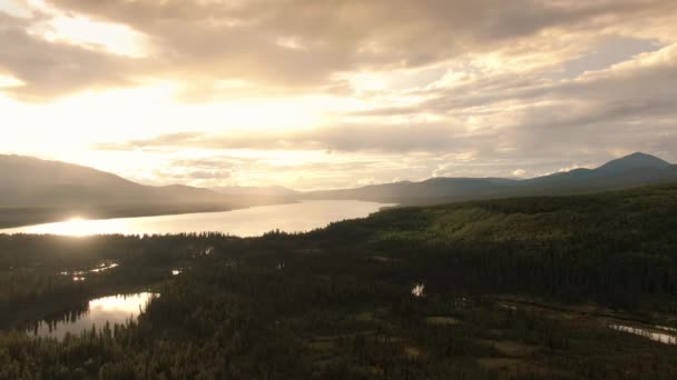 Splendida vista sui laghi sereni circondati da splendidi alberi — Video Stock