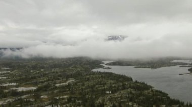 Manzaralı Göl, Adalar ve Ormanın Güzel Manzarası