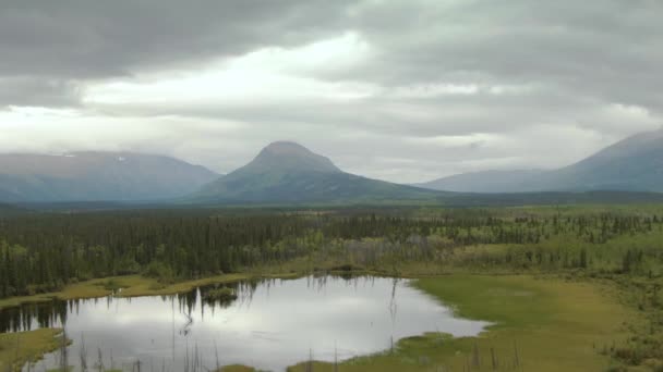 Vista pacífica del estanque y pantano rodeado de bosques y montañas — Vídeos de Stock