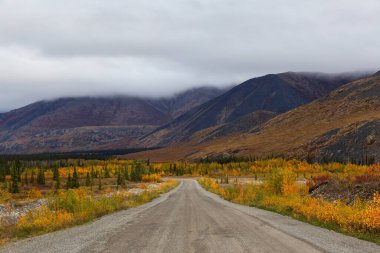Yukon 'daki Kanada Doğa Manzarası