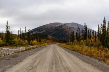 Yukon, Kanada 'da Manzaralı Yol