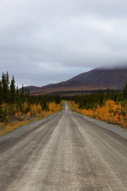 Yukon, Kanada 'da Manzaralı Yol