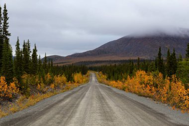 Yukon, Kanada 'da Manzaralı Yol