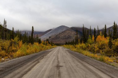 Yukon, Kanada 'da Manzaralı Yol