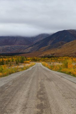 Yukon, Kanada 'da Manzaralı Yol