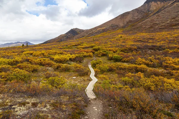 Kanadská přírodní krajina v Yukonu — Stock fotografie