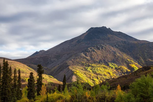 Canadian Nature Landscape in Yukon — Stock Photo, Image