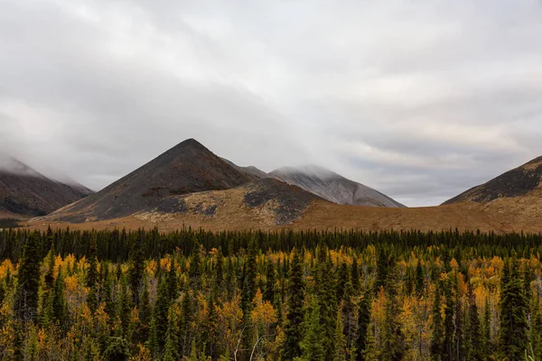 Καναδικό τοπίο της φύσης στο Yukon — Φωτογραφία Αρχείου