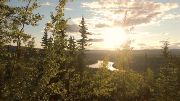 Prachtig uitzicht op Scenic Winding River — Stockvideo