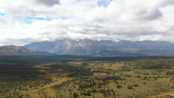 Bella vista di foreste lussureggianti, alberi e terreni — Video Stock