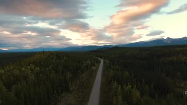 Blick auf die malerische Straße, umgeben von Wald und Bergen — Stockvideo