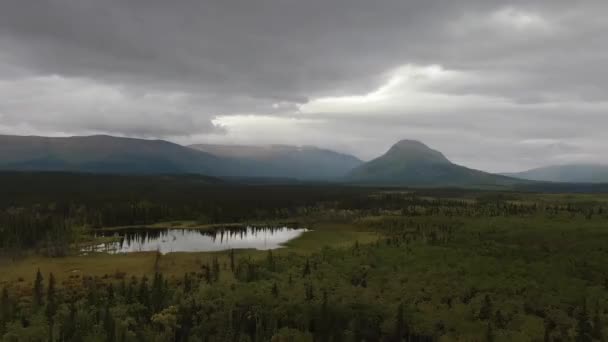 Klidný výhled na rybník a bažinu obklopený lesy a horami — Stock video