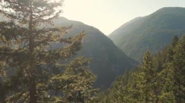 Güzel Kanada Doğa Manzarası