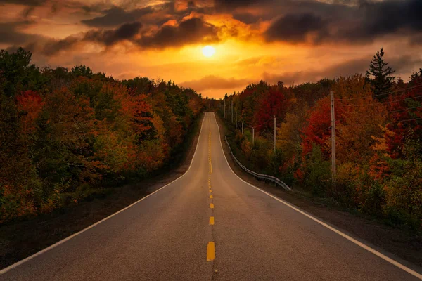Dreamy Scenic Road a természetben élénk ősszel — Stock Fotó