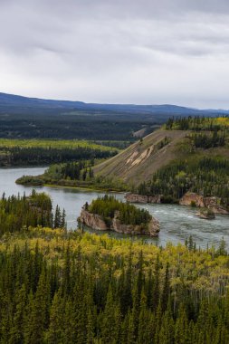 Açık Sonbahar Günü Manzaralı Nehir ve Ağaçlar