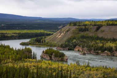 Açık Sonbahar Günü Manzaralı Nehir ve Ağaçlar