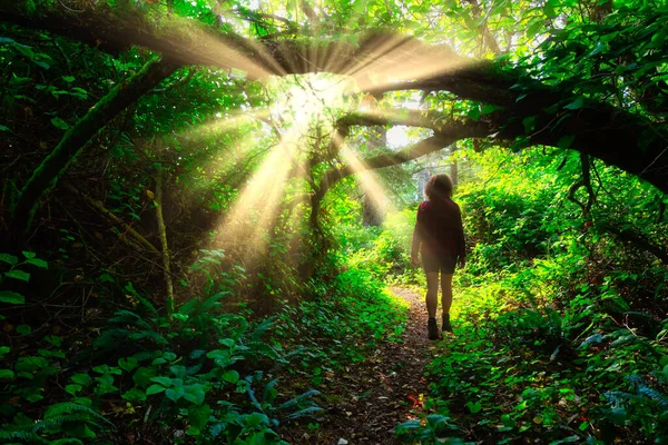 緑の熱帯雨林を歩く女 — ストック写真