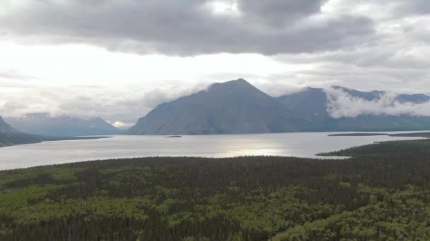 Uitzicht op Scenic Lake omgeven door bos en bergen — Stockvideo