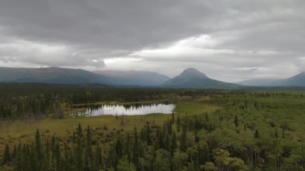 Ruhige Aussicht auf Teich und Marschland, umgeben von Wald und Bergen — Stockvideo