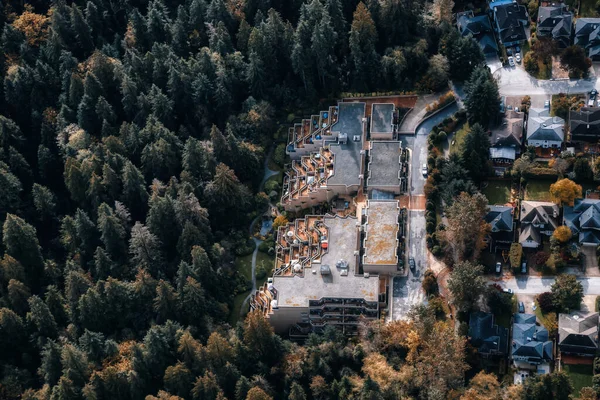 Vista aérea de casas residenciais em um bairro verde — Fotografia de Stock