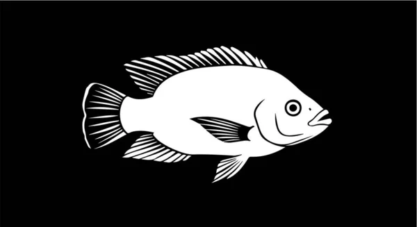 Siyah ve Beyaz Balık Görüntü