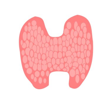 Tiroid bezi ön görüş diyagramı faydalı eğitim biyolojisi bilim diyagramı - 1