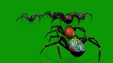 Bir sürü Örümcek Yürüyüşü 3D Canlandırma Yeşil Ekranda