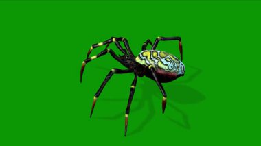 Gerçekçi Örümcek Saldırısı Sahnesi 3 boyutlu Yeşil Ekran Canlandırması