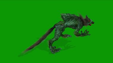 Canavar Werehyena Sağ-3D Yürüyor Yeşil Ekranda Canlandırma