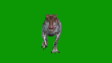 Gerçekçi Dinozor Önde Yürüyor 3D Render-Jurassic Dinozor Yeşil Ekran