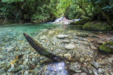 Güzel kristal berraklığında su Nehri, Serrinha yapmak Alambari ekolojik rezerv Atlantik yağmur ormanları, Serra da Mantiqueira, Rio de Janeiro, Brezilya