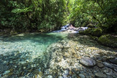 Güzel kristal berraklığında su Nehri, Serrinha yapmak Alambari ekolojik rezerv Atlantik yağmur ormanları, Serra da Mantiqueira, Rio de Janeiro, Brezilya