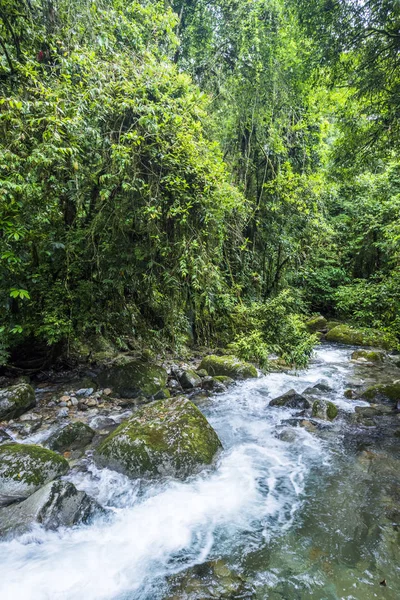 Hermoso Río Aguas Cristalinas Reserva Ecológica Serrinha Alambari Selva Tropical — Foto de Stock