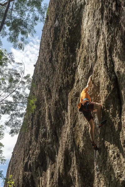 Mannen Bergsklättring Skogen Steniga Vägg Rio Janeiro Brasilien — Stockfoto