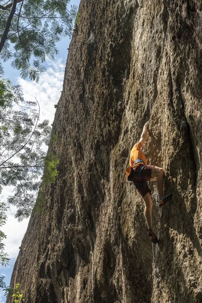 Arrampicata Uomo Nella Foresta Parete Rocciosa Rio Janeiro Brasile — Foto Stock