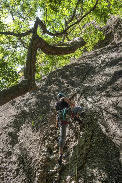 Rio de Janeiro, Brezilya için bir orman kayalık duvarındaki kadın dağcılık