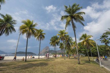 Güzel yatay, palmiye ağaçları eğlence alanında Aterro Flamengo yap, Sugar Loaf Dağı arkasında, Rio de Janeiro, Brezilya için görüntüleyin