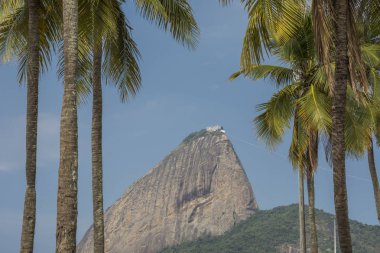 Güzel yatay, palmiye ağaçları eğlence alanında Aterro Flamengo yap, Sugar Loaf Dağı arkasında, Rio de Janeiro, Brezilya için görüntüleyin