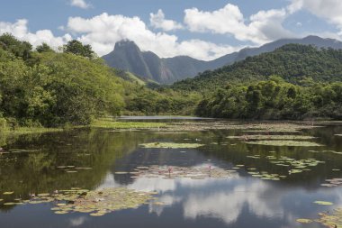Beautiful lake with mountains and wild natural landscape, Atlantic Rainforest ecological reserve in the countryside of Rio de Janeiro near Guapiacu, Brazil clipart