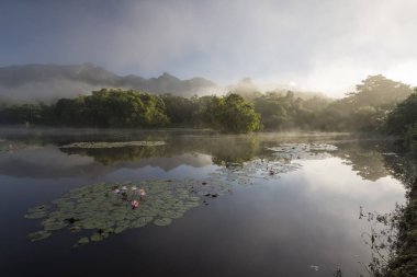 Beautiful lake with mountains, wild natural landscape and the morning fog, Atlantic Rainforest ecological reserve in the countryside of Rio de Janeiro near Guapiacu, Brazil clipart