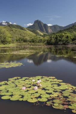 Beautiful lake with mountains and wild natural landscape, Atlantic Rainforest ecological reserve in the countryside of Rio de Janeiro near Guapiacu, Brazil clipart