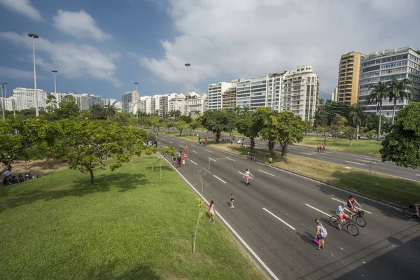 美丽的风景与树在休闲区域 Aterro 做弗拉门戈和城市大厦 里约热内卢 — 图库照片