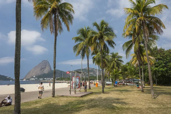 Gyönyörű Táj Pálmafák Szabadidő Terén Területére Csinálni Flamengo Nézd Cukorsüveg — Stock Fotó
