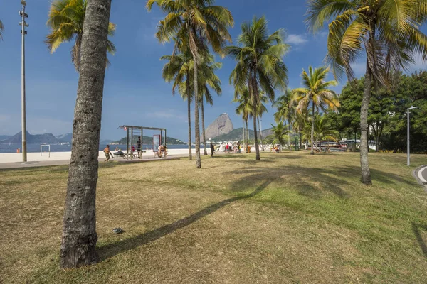 Beautiful Landscape Palm Trees Leisure Area Aterro Flamengo View Sugar — Stock Photo, Image