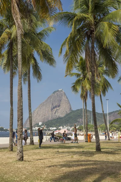 Bela Paisagem Com Palmeiras Área Lazer Aterro Flamengo Vista Para — Fotografia de Stock