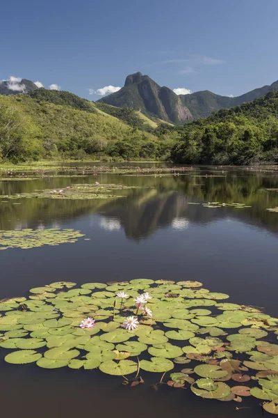 Hermoso Lago Con Montañas Paisaje Natural Salvaje Reserva Ecológica Selva — Foto de Stock