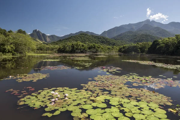 Nádherné Jezero Horami Divoké Přírody Ekologické Rezervy Atlantického Deštného Pralesa — Stock fotografie